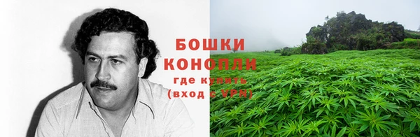 твердый Осинники