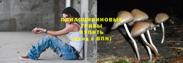 твердый Осинники