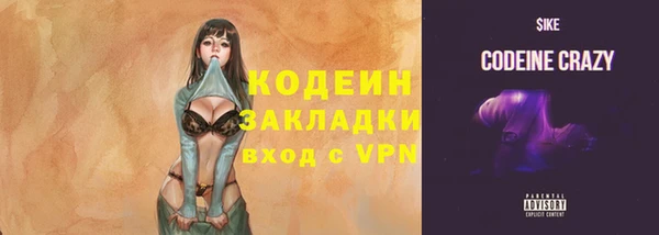 твердый Осинники