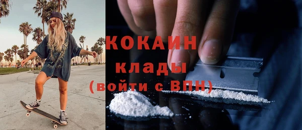 твердый Осинники