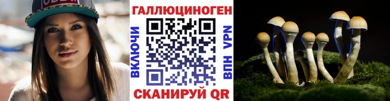 Псилоцибиновые грибы Magic Shrooms  сколько стоит  Собинка 