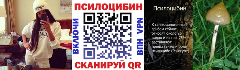 Галлюциногенные грибы прущие грибы Собинка